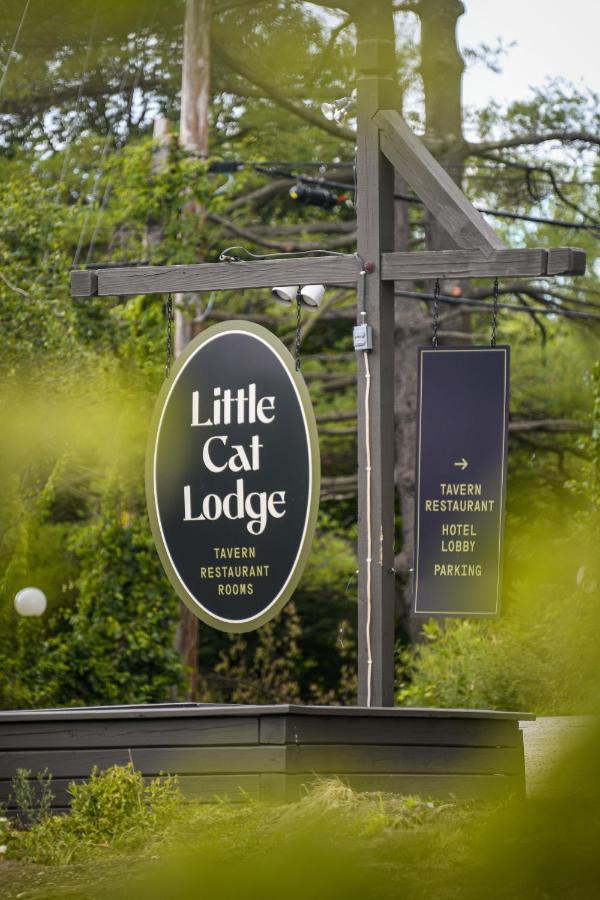 Little Cat Lodge Hillsdale Esterno foto